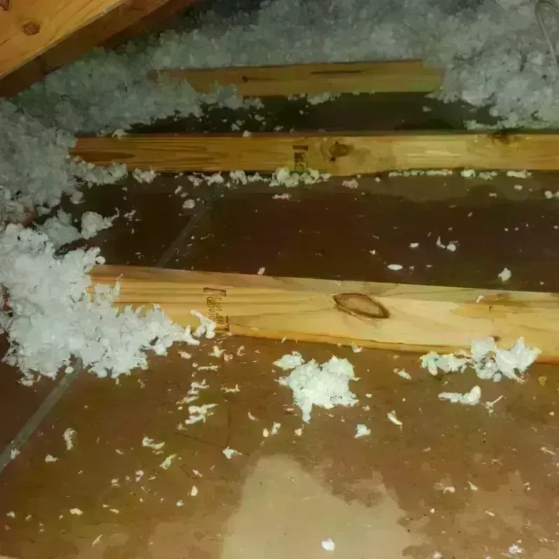 Attic Water Damage in Los Angeles, CA