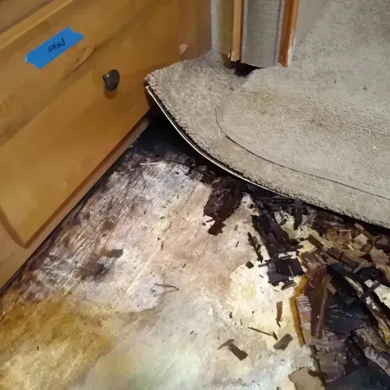 Wood Floor Water Damage in Los Angeles, CA